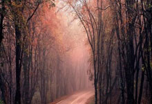 亚马尔失点后和他说了什么?佩德里:我说你罚得太糟糕了.