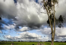 3377体育:日本后卫关根大辉:我的目标是参加世界杯,若有机会会尽全力.