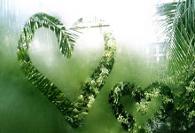 王楚钦夺得WTT重庆冠军赛男单冠军.