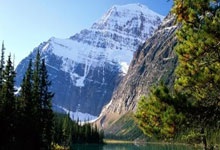 3377体育:第十五届全国运动会主题口号发布央视新闻客户端.